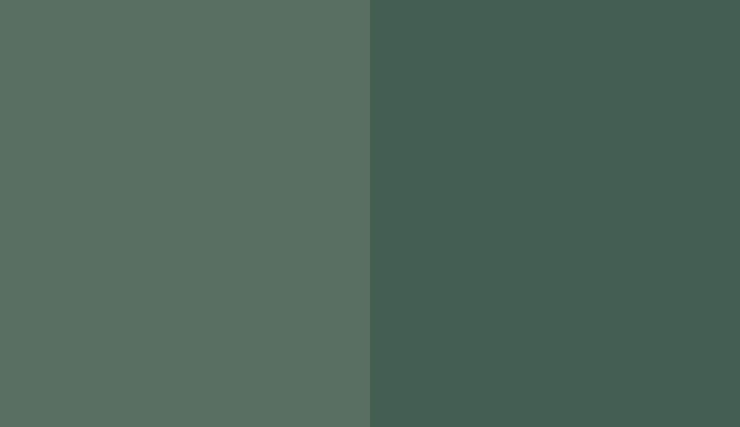 HEX #596F62 to RAL 6028 HEX #596F62 to RAL 6028