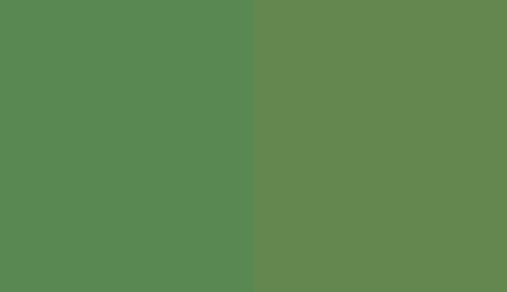 HEX #598852 to RAL 6017
