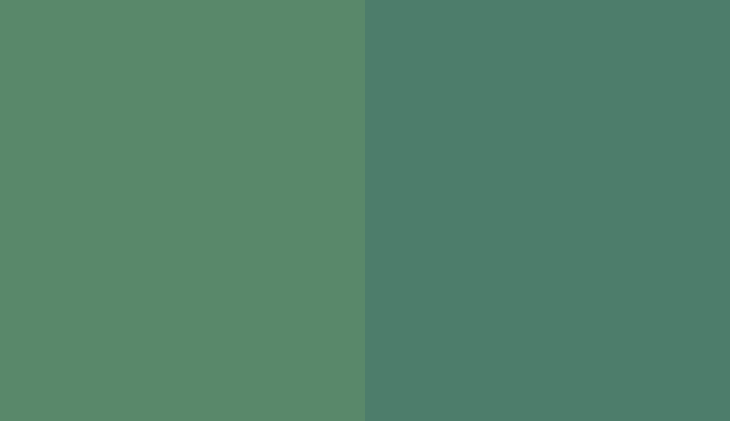 HEX #59886A to RAL 6000