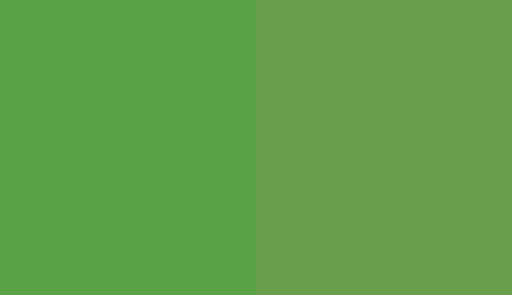 HEX #59A245 to RAL 6018 HEX #59A245 to RAL 6018