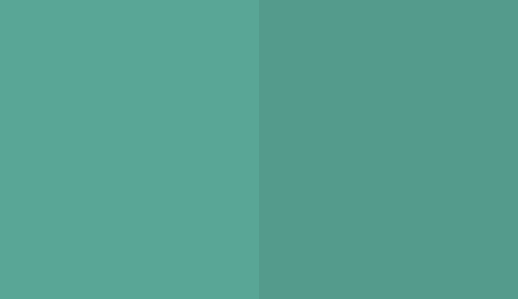 HEX #59A696 to RAL 180 60 25 HEX #59A696 to RAL 180 60 25