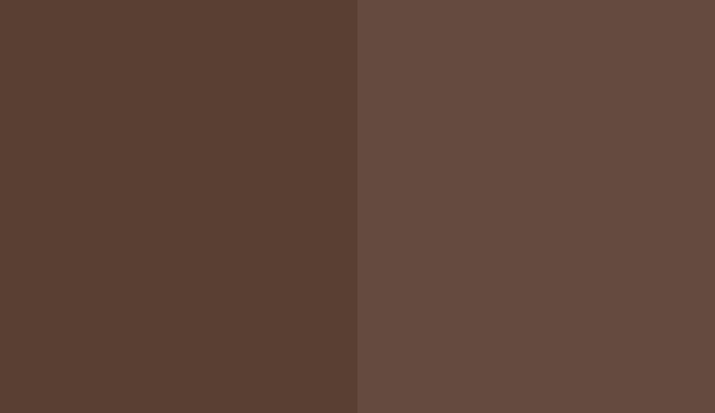 HEX #5A3F33 to RAL 8011