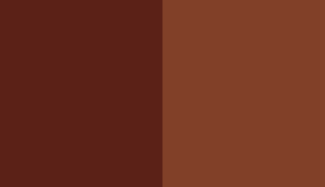 HEX #5B2117 to RAL 8029 HEX #5B2117 to RAL 8029