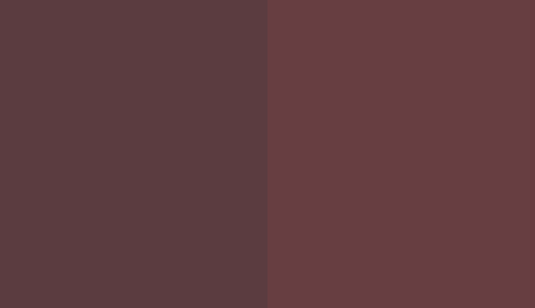 HEX #5B3C40 to RAL 3005