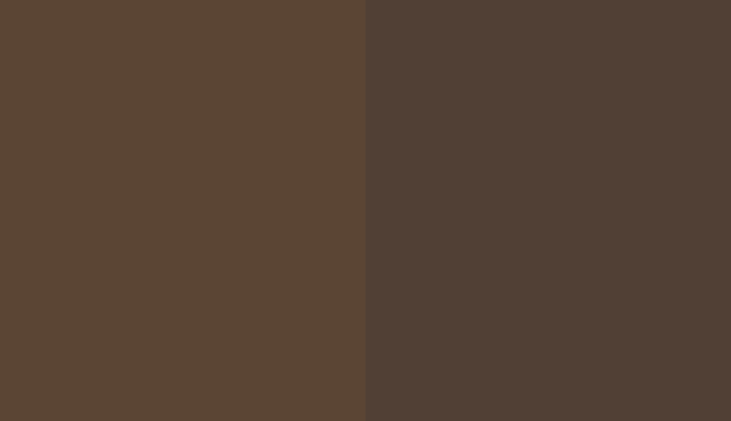 HEX #5B4534 to RAL 060 30 10 HEX #5B4534 to RAL 060 30 10