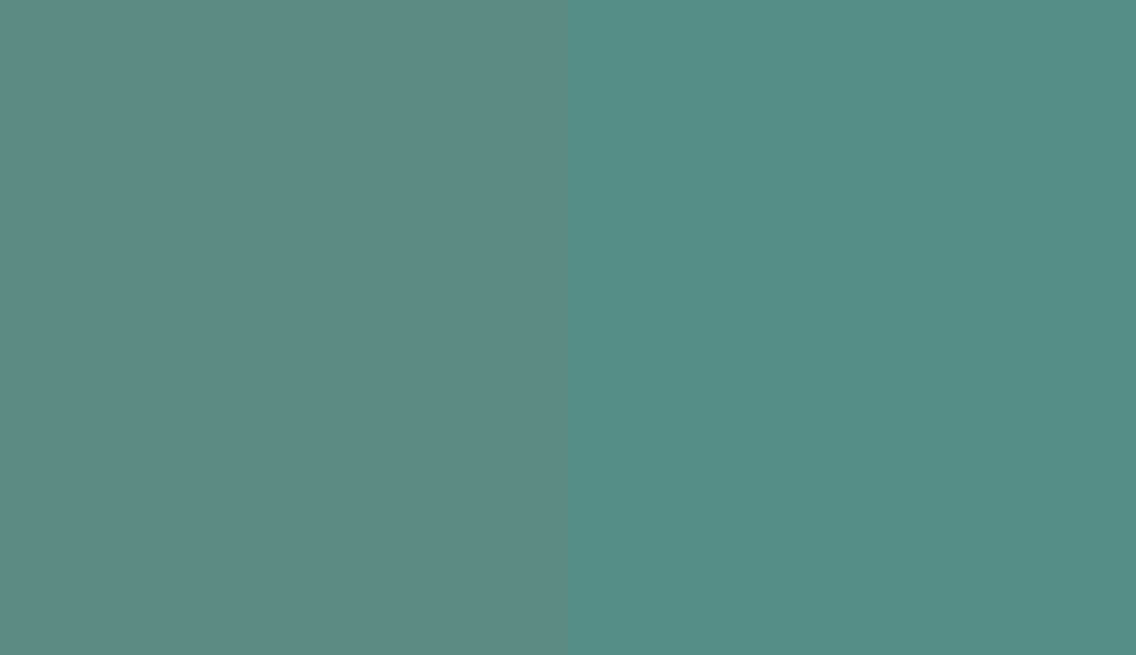 HEX #5B8B83 to RAL 6033