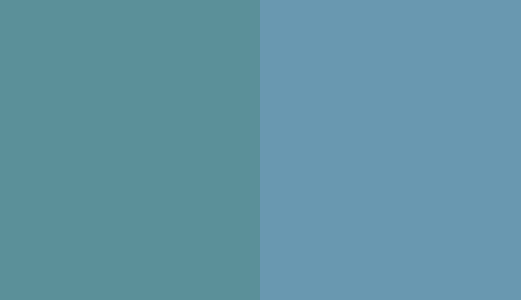 HEX #5B9099 to RAL 5024