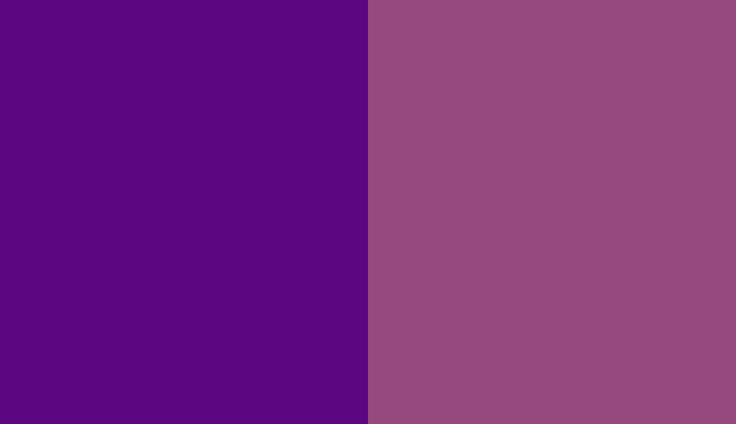 HEX #5C0682 to RAL 4006 HEX #5C0682 to RAL 4006
