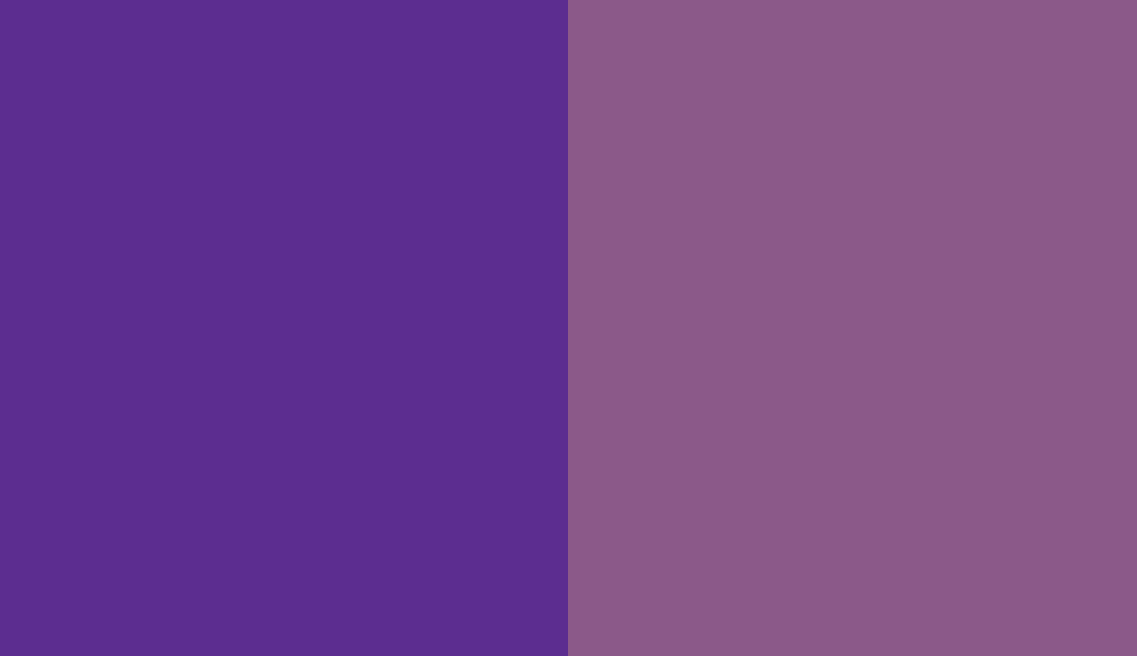 HEX #5C2D90 to RAL 4008