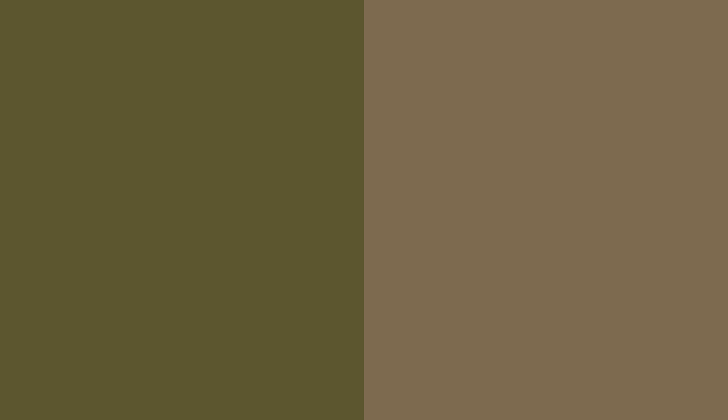 HEX #5C562F to RAL 7008 HEX #5C562F to RAL 7008
