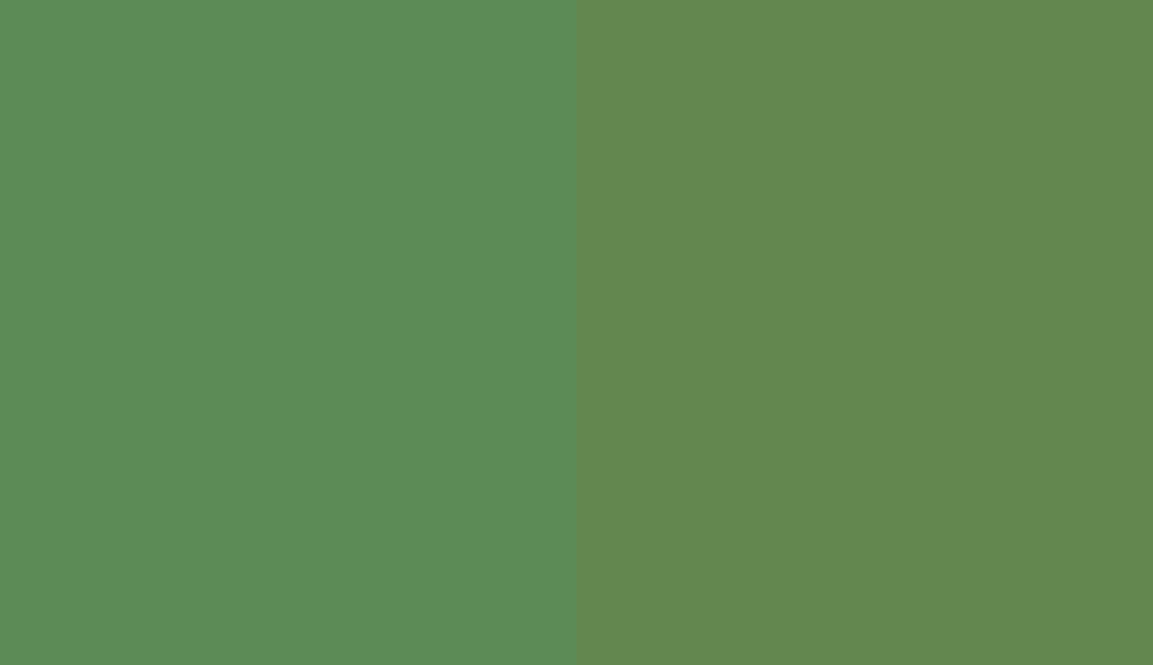 HEX #5C8B56 to RAL 6017
