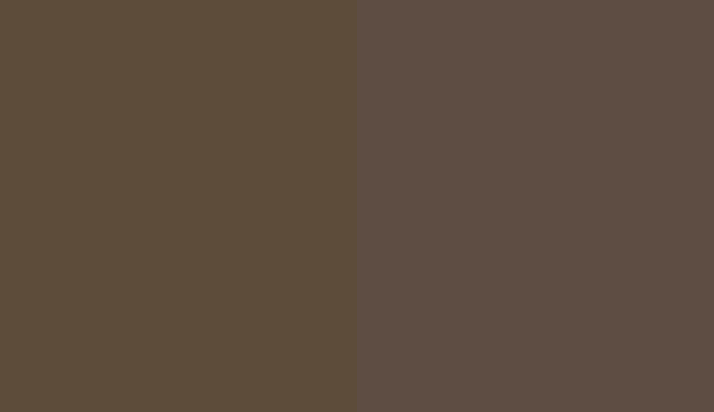 HEX #5D4C3A to RAL 8028