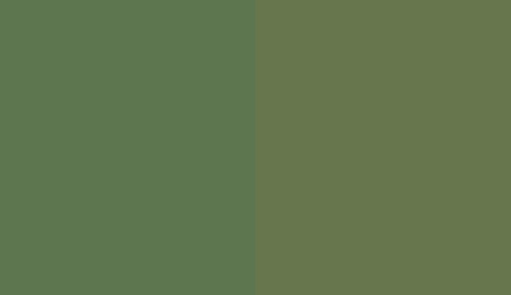 HEX #5D7650 to RAL 6025
