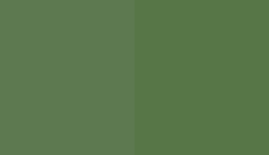 HEX #5D7950 to RAL 6010