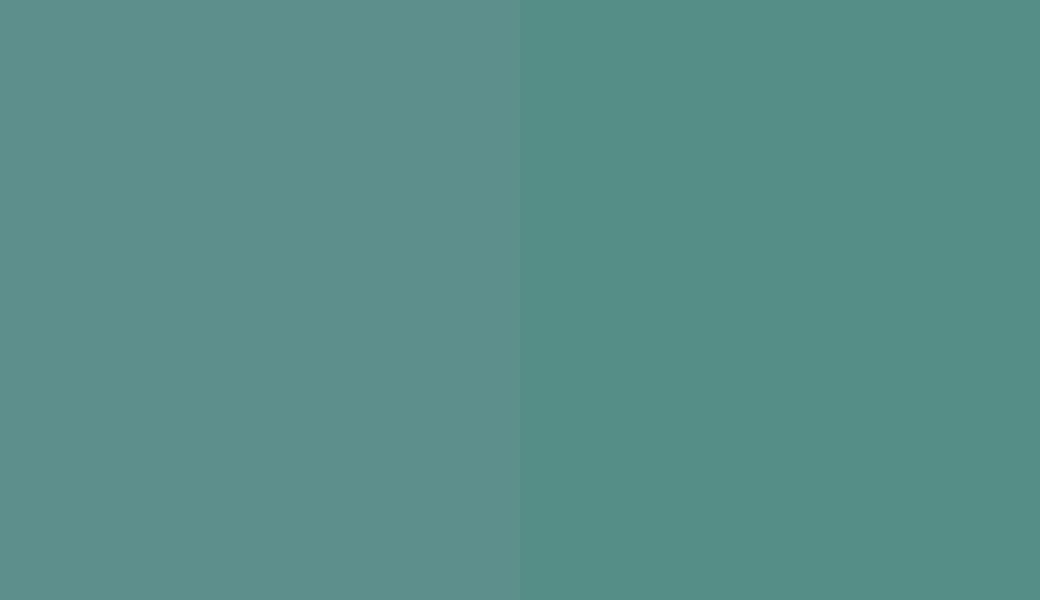 HEX #5D8F8C to RAL 6033