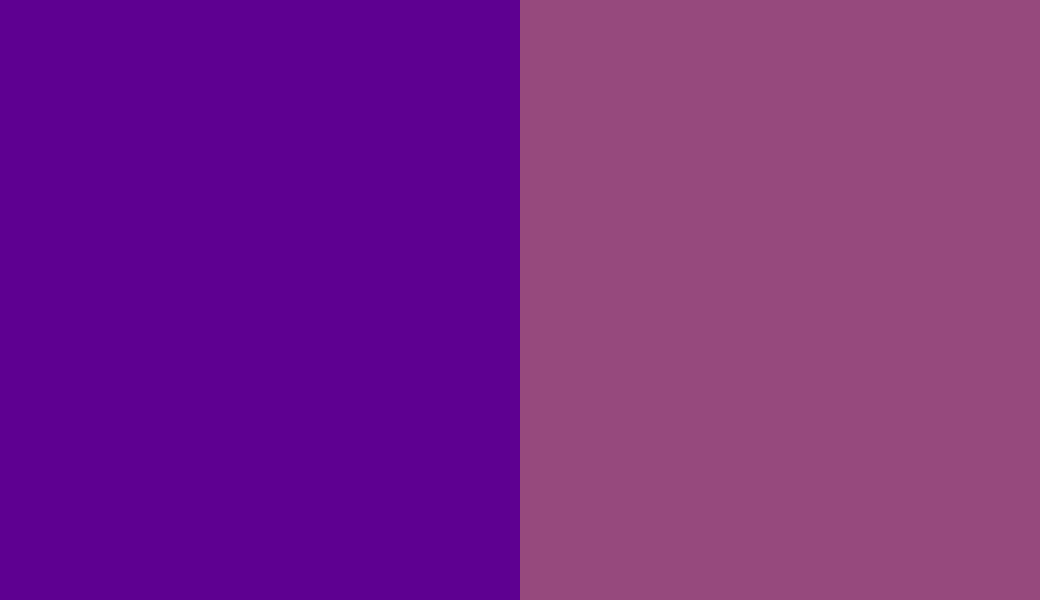 HEX #5E0091 to RAL 4006