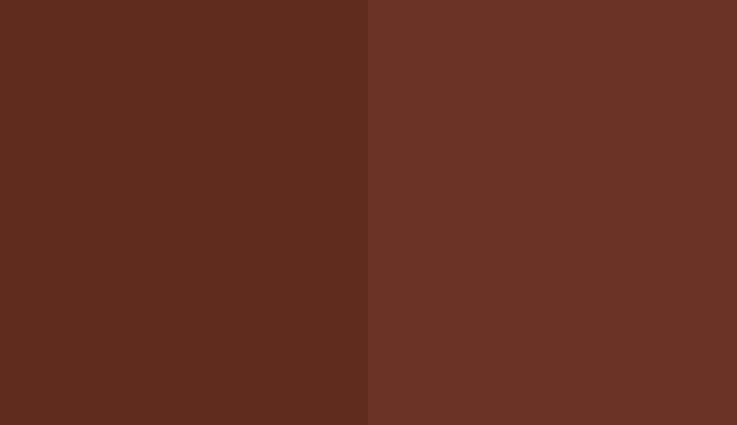 HEX #5E2C1C to RAL 040 30 30 HEX #5E2C1C to RAL 040 30 30