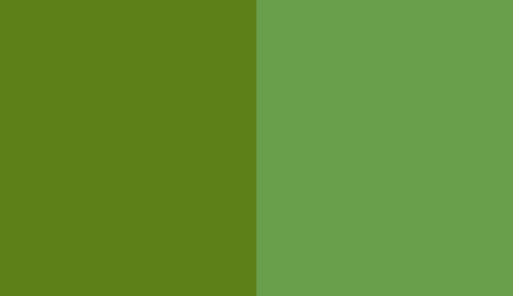 HEX #5E8019 to RAL 6018 HEX #5E8019 to RAL 6018