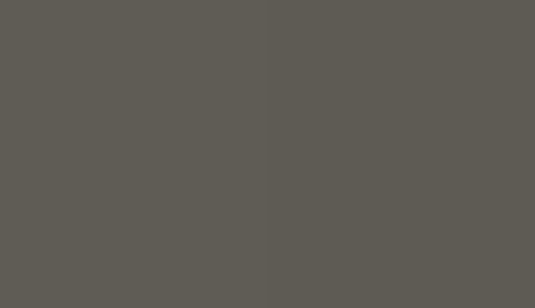 HEX #5F5B55 to RAL 100 40 05