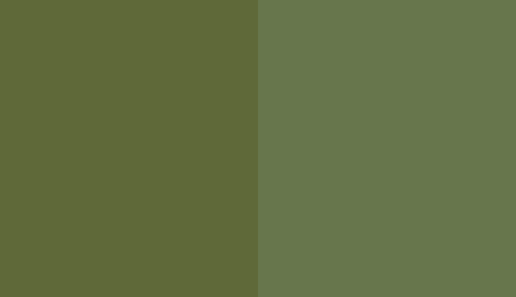 HEX #5F6939 to RAL 6025