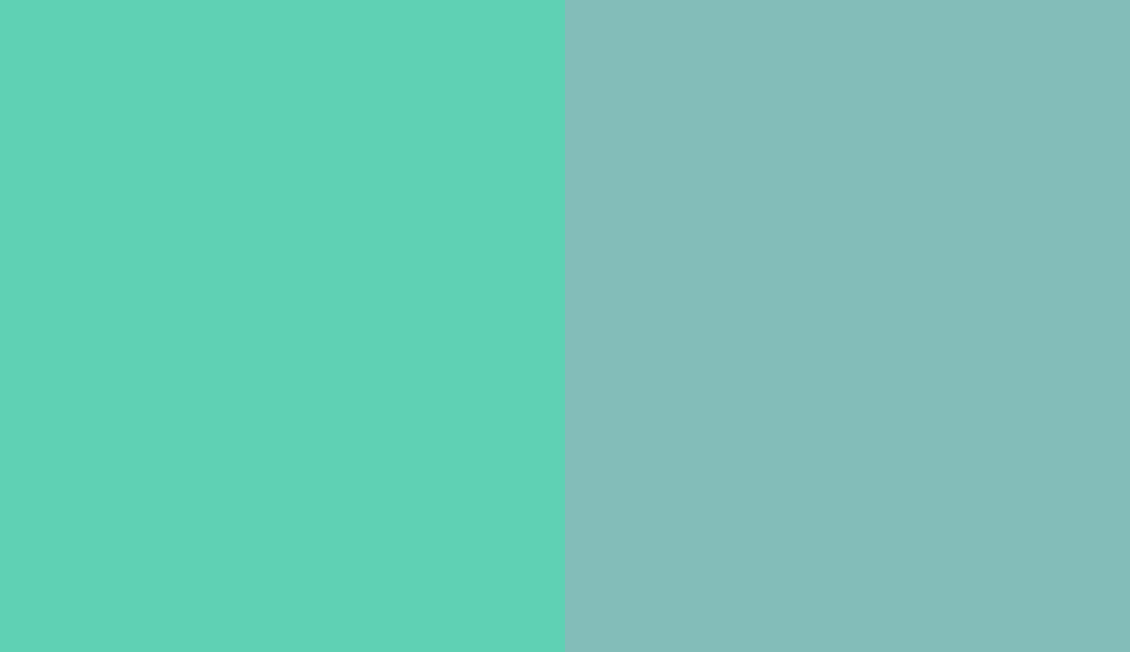 HEX #5FD1B4 to RAL 6027