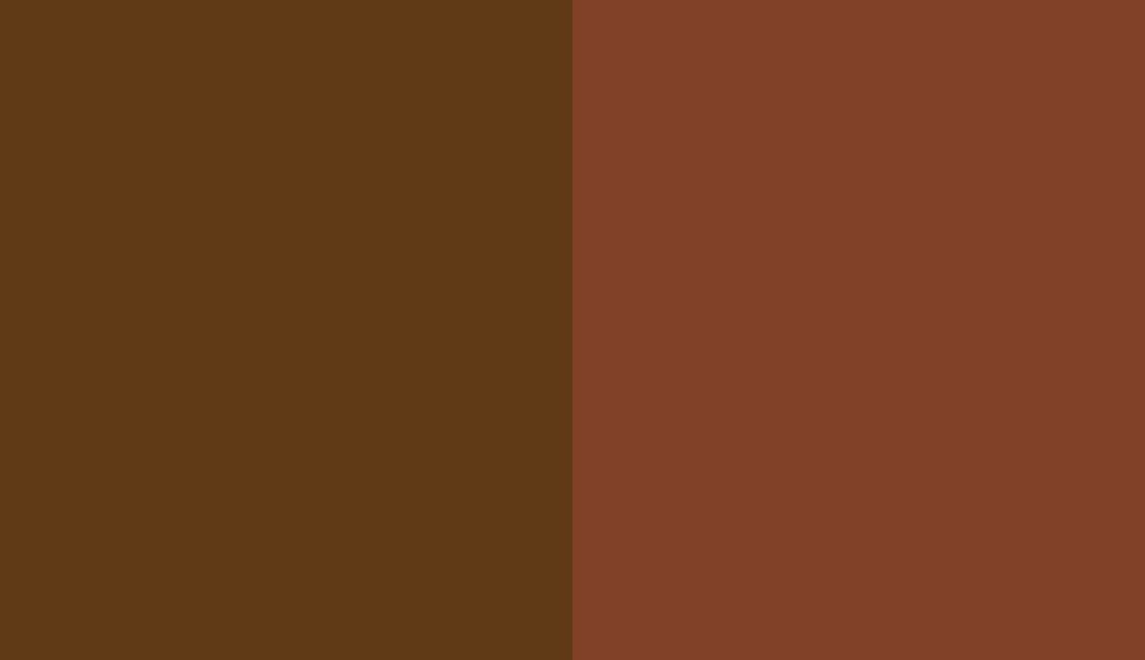 HEX #603A17 to RAL 8029