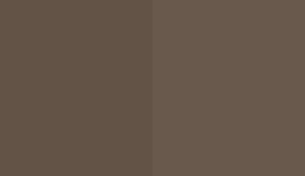 HEX #605143 to RAL 070 40 10 HEX #605143 to RAL 070 40 10