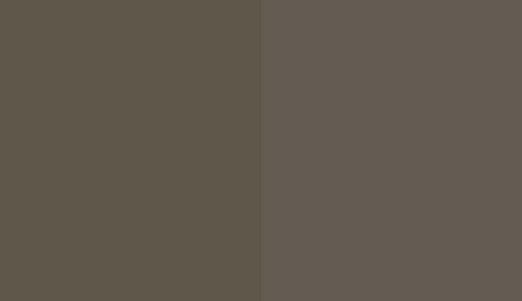 HEX #60574B to RAL 7013