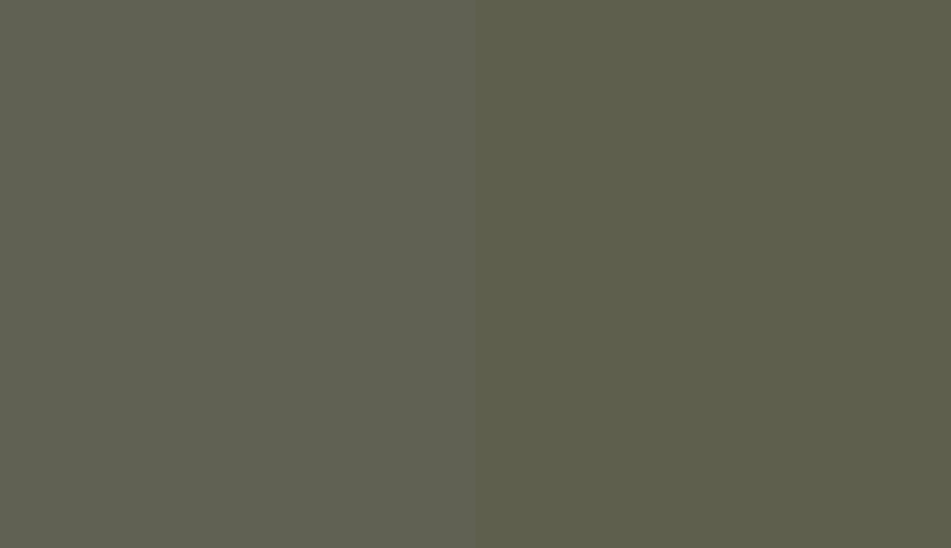 HEX #606153 to RAL 110 40 10 HEX #606153 to RAL 110 40 10