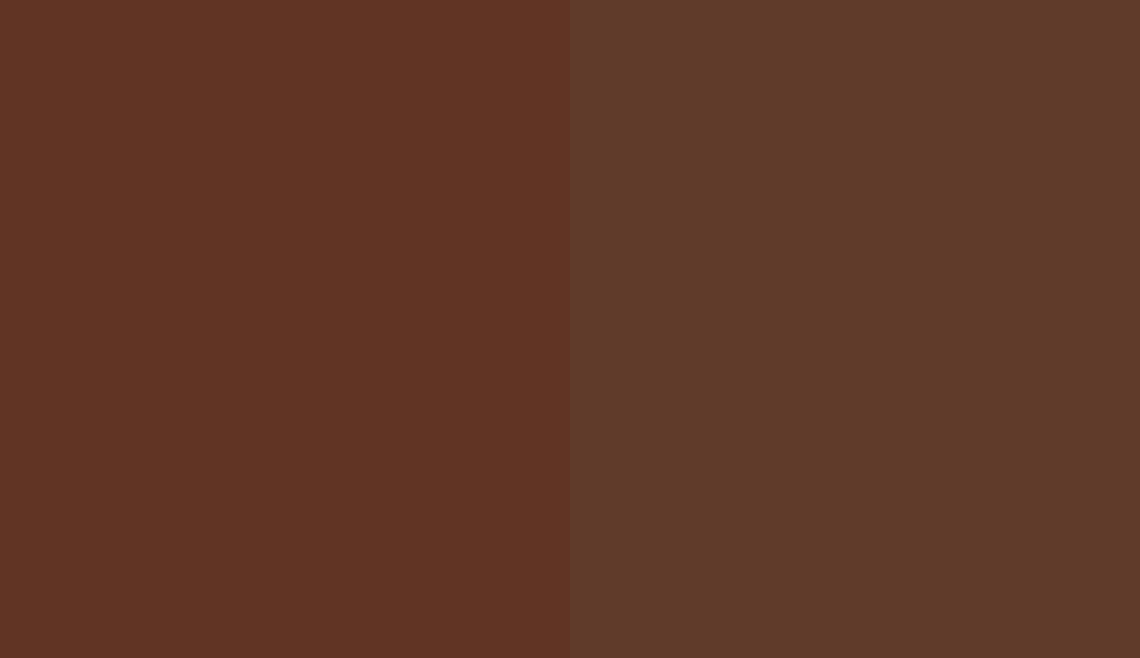HEX #613424 to RAL 050 30 20 HEX #613424 to RAL 050 30 20