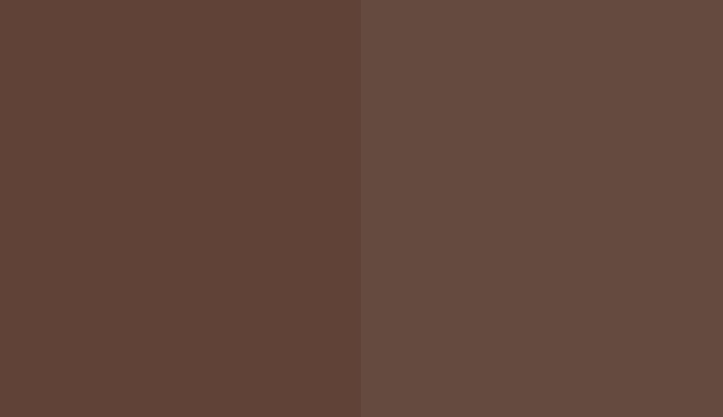 HEX #614237 to RAL 8011 HEX #614237 to RAL 8011