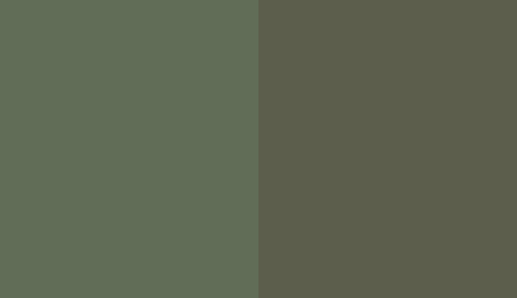 HEX #616D57 to RAL 6003