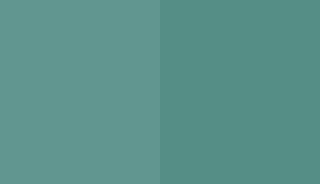 HEX #619690 to RAL 6033 HEX #619690 to RAL 6033