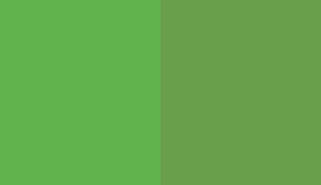 HEX #61B44D to RAL 6018 HEX #61B44D to RAL 6018