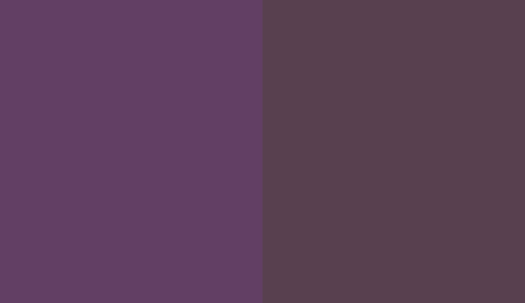 HEX #623F64 to RAL 4007