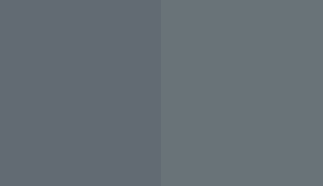 HEX #626B73 to RAL 7031