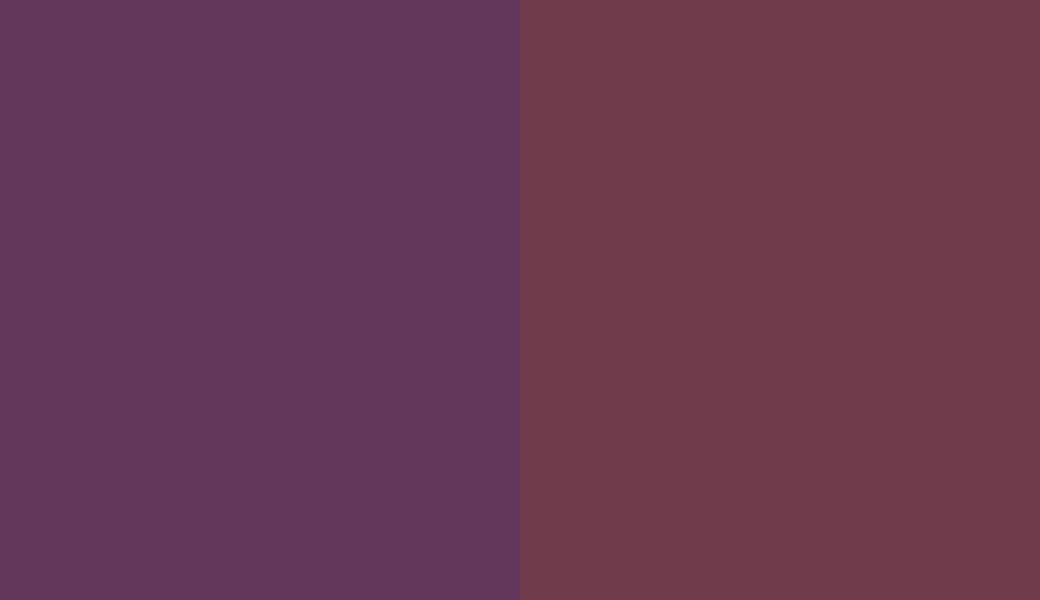 HEX #63365B to RAL 4004