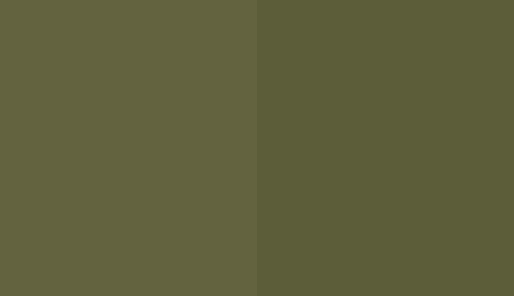 HEX #63633F to RAL 110 40 20