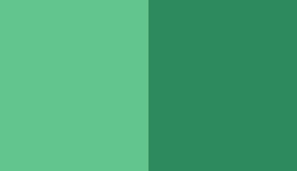 HEX #63C68D to RAL 6024