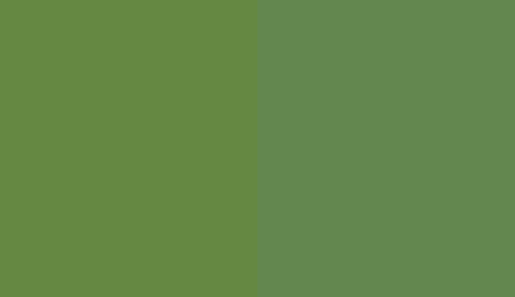 HEX #658842 to RAL 6017