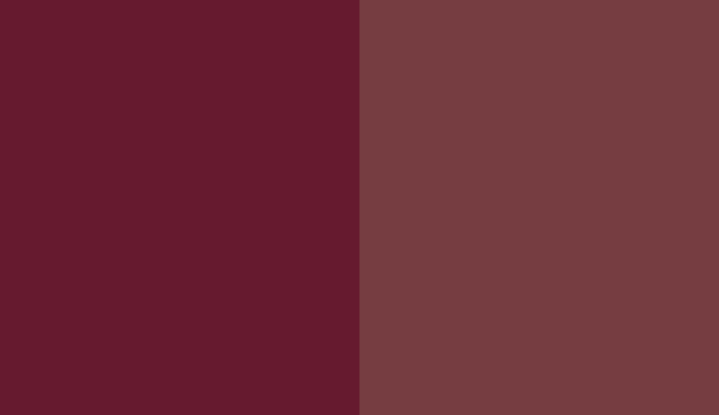 HEX #661A2F to RAL 3004