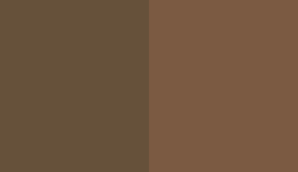 HEX #66513A to RAL 8008