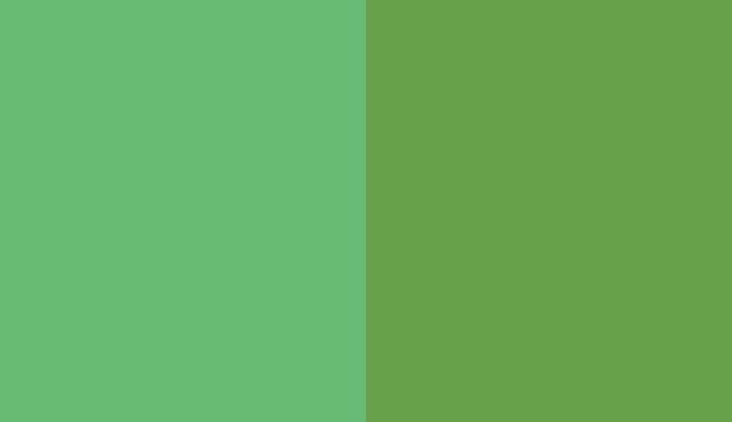 HEX #66B873 to RAL 6018 HEX #66B873 to RAL 6018