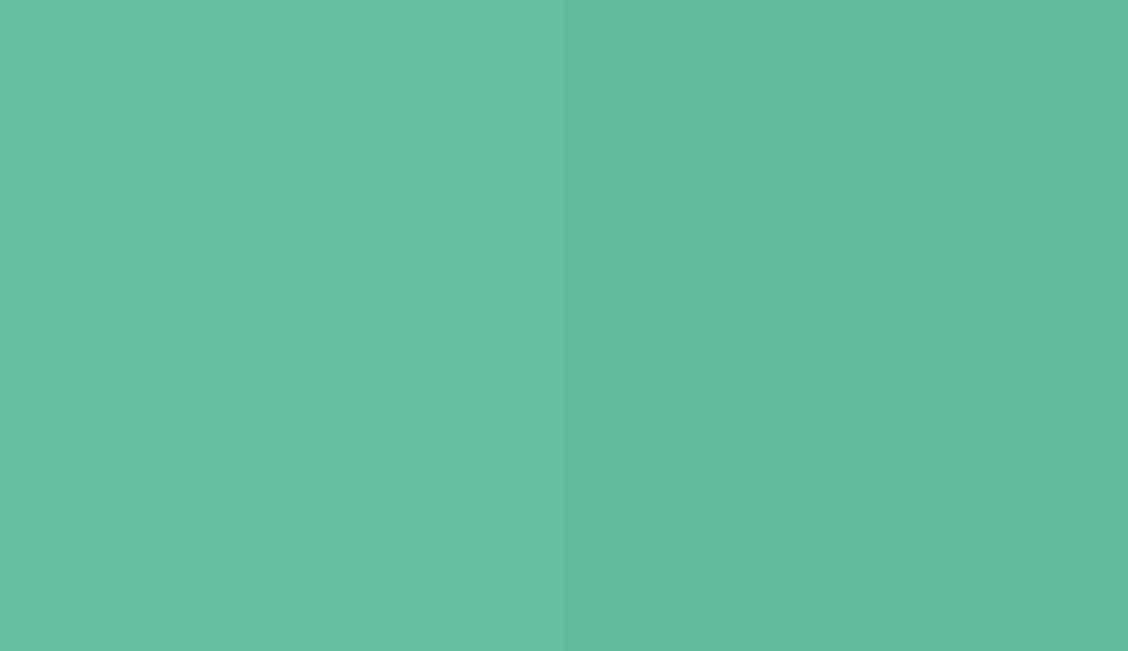 HEX #66BFA0 to RAL 170 70 35