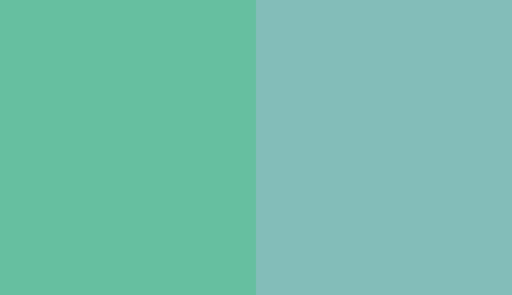 HEX #66BFA0 to RAL 6027