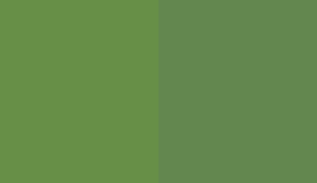 HEX #678F47 to RAL 6017