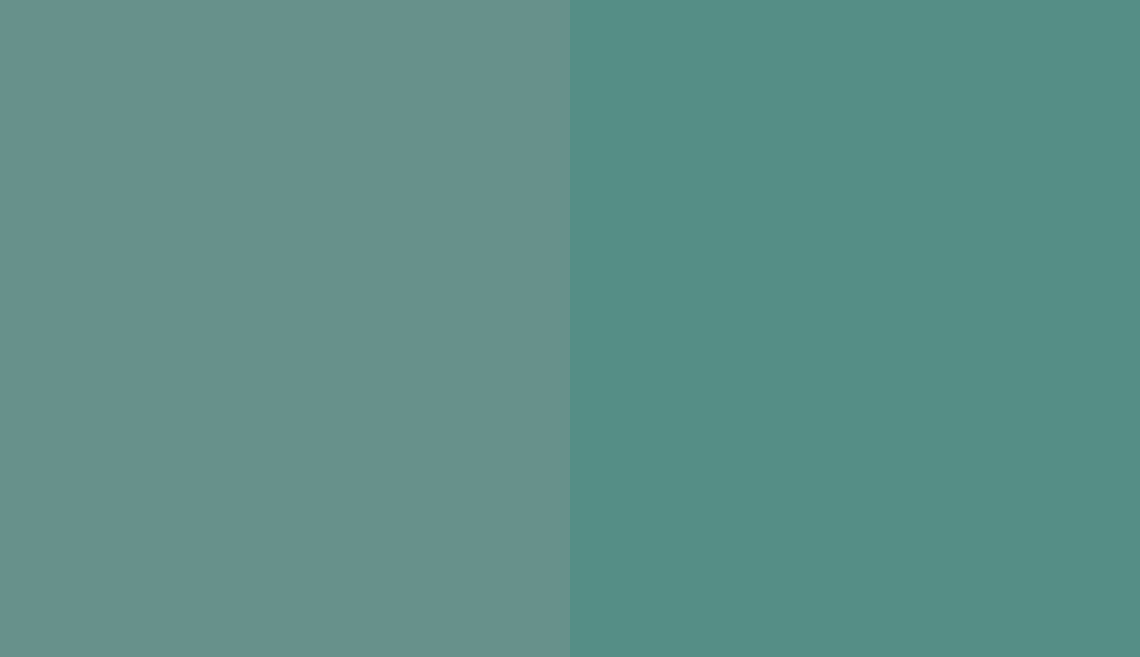 HEX #67918B to RAL 6033
