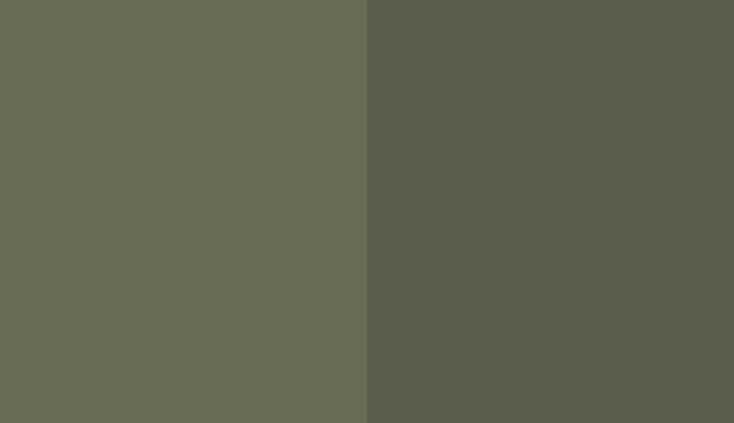 HEX #686B55 to RAL 6003 HEX #686B55 to RAL 6003