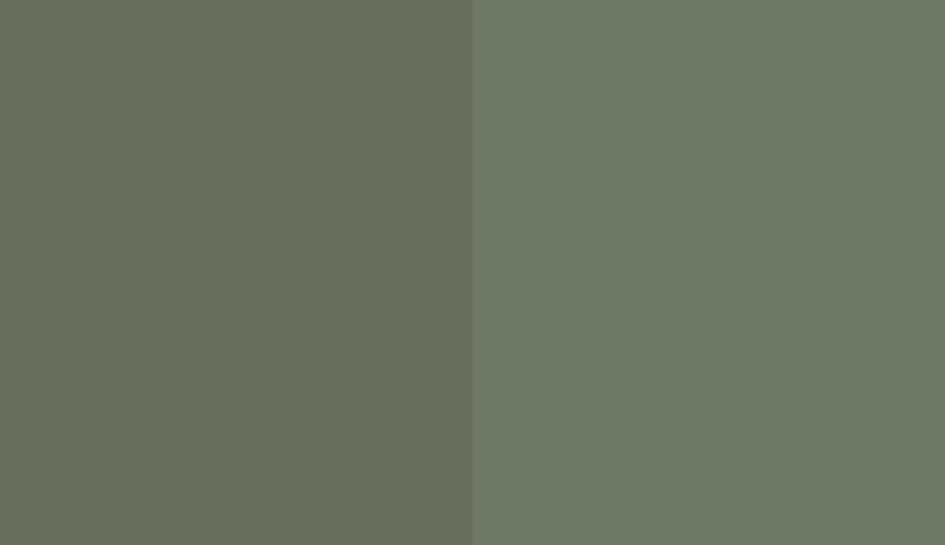 HEX #686C5B to RAL 130 50 10
