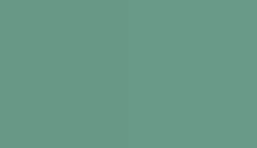 HEX #689886 to RAL 170 60 20